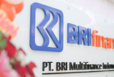 BRI Finance : Dua Isu Utama Membayangi Pembiayaan Mobil Baru 2026