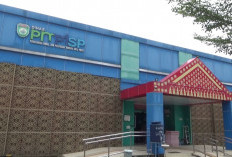 Realisasi Investasi Sumsel Tembus Rp49,82 Triliun, Lampaui Target 2025