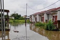 Warga Perumahan Griya Alam Indah Lestari Keluhkan Banjir Pasca Hujan Deras