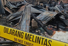 Kebakaran Dilorong Kemana Kertapati Palembang Hanguskan 11 Rumah Warga