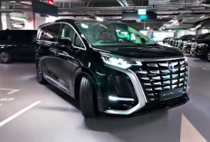 Bukan Cuma D9, Denza Siapkan Mobil Baru untuk Indonesia 2026, SUV Plug-in Hybrid Jadi Kandidat Kuat