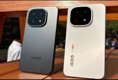 iQOO 15R Segera Diluncurkan  Targetkan Jadi HP Serba Bisa di Bawah Rp9,5 juta.