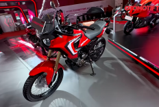 QJ Motor Turino 250 DX, Motor Adventure 250 cc Termurah di Indonesia Hadir di IIMS 2026