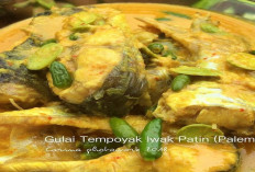 Gulai Tempoyak Santan Patin dengan Terong dan Pete, Sajian Asam Gurih Khas Sumatera