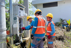 Tingkatkan Keandalan Pasokan, PLN UP3 Ogan Ilir Intensifkan Pemeliharaan Preventif Gardu Distribusi