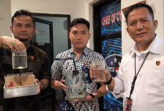 Live Adu Ikan Cupang Berujung Penangkapan, Pasutri Asal Prabumulih Raup Puluhan Juta Rupiah