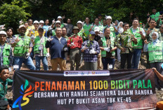 45 Tahun Bakti PTBA Bersinergi Membangun Bangsa