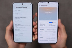 Galaxy S26 vs Oppo Find X8 Pro: Duel Teknologi Pendingin Terbaru di Kelas Flagship