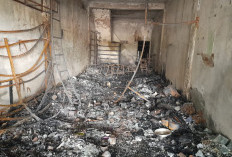 Diduga Konsleting Listrik, Toko Kaca dan Aluminium Terbakar