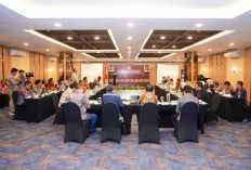 PLN UID S2JB Tegaskan Komitmen Pemerataan Listrik, Komisi XII DPR RI Apresiasi Langkah Strategis di Sumsel