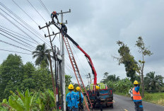 PLN Tuntaskan Perbaikan Tiang SUTM Akibat Badai di Desa Banding Anyar