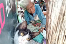 Ironinya!! Nyai Nikmah Hidup Sebatang Kara Tinggal di Rumah Roboh Persis Belakang Kantor Lurah 