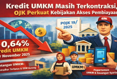 Kredit UMKM Masih Terkontraksi, OJK Perkuat Kebijakan Akses Pembiayaan