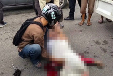 Seorang Perempuan Tewas di Jalan Gubernur HA Bastari, Diduga Korban Tabrak Lari