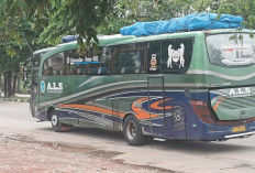 Pasca Tragedi ALS Vs Truk Tangki BBM, Penumpang PO Bus Akui Masih Khawatir