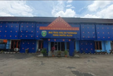 14 WNI Asal Sumsel Dipulangkan dari Kamboja, Pemprov Lakukan Pendampingan Intensif