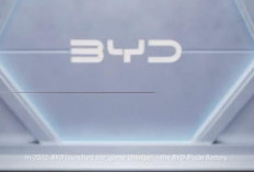 BYD Atto 2: Mengusung Teknologi Baterai Blade Terbaru, Mobil Listrik Kompak dengan Daya Saing Global
