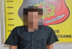 Akhir Pelarian di Kebun Sawit: Buron Pencurian TBS Dibekuk Saat Fajar Menyingsing