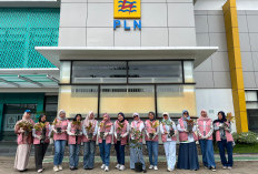 Srikandi PLN UP3 Ogan Ilir Gelar Gerakan Sejuta Pohon, Wujud Kepedulian terhadap Lingkungan Kerja