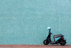 Sepeda Listrik Makin Diminati, Praktis untuk Mobilitas Harian