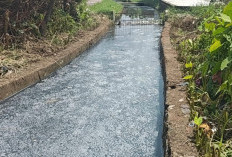Tidak Perbaiki Instlasi Limbah, 29 Usaha Tahu Terancam Disegel