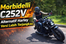 Morbidelli C252V, Alternatif Harley Versi Lebih Terjangkau