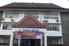 Sumsel terdapat 230 izin tambang galian C tersebar di 16 Kabupaten-Kota.