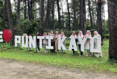 Wali Kota Palembang Tunggu Regulasi Pengelolaan TWA Punti Kayu 