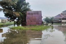 Hujan Deras Dan Aliran Sungai Terhambat, Pondok Pesantren Kiai Marogan Kebanjiran