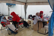 Meriahkan HUT Ke-1343 Palembang, Road Show Akbar Jalan Sehat PALTV Disertai Aksi Donor Darah