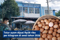  Awal 2026 Harga Telur Palembang Bertahan Rp28 Ribu, Efek MBG dan Jelang Puasa