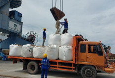 Ribuan Ton Pupuk Impor Tiba di Palembang, Dukung Rantai Pasok Nasional