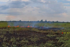 Kemarau Diprediksi Lebih Kering, BPBD Sumsel Siapkan Kanal Penampung Air