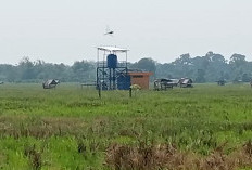 Standar Ketahanan Pangan Padi Desa Tanjung Jadi Gagal Karena Kekeringan 
