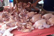  Stok Terbatas, Harga Cabai dan Ayam di Palembang Meroket