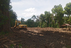 Pertanyakan Proses Pembangunan Jalan Diduga Hauling Batu Bara