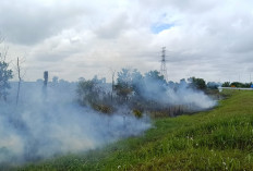 Hingga Mei 2026, Sekitar 100 Hektar Lahan di Sumsel Terbakar, Didominasi Lahan Mineral Milik Warga 