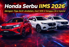 Honda Serbu IIMS 2026 dengan Tiga SUV Andalan, Dari WR-V hingga CR-V Hybrid