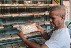 Rupiah Melemah, Perajin Tempe di Palembang Tertekan Kenaikan Harga Kedelai