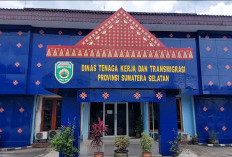 WNI Asal Sumsel Diduga Jadi Korban Scammer, Disnakertrans Koordinasi dengan Polda Sumsel