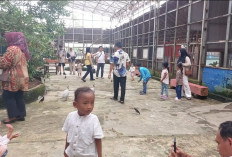 Libur Nataru dan Sekolah Pengunjung Birdpark Meningkat