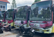  Tambah PAD! Pemkot Palembang Pastikan Lelang Kendaraan Kembali Digelar Februari 2026