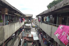 Kondisi Kian Memprihatinkan, Ratu Dewa Dorang Realisasi Revitalisasi Rumah Susun