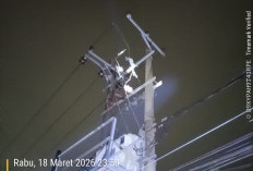 PT PLN (Persero) ULP Prabumulih PLN ULP Prabumulih Gerak Cepat Tangani Gangguan Jaringan di Penyulang Patimura