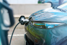BYD Siapkan Mobil Baru Teknologi PHEV di Indonesia, MPV Hybrid M6 Diprediksi Segera Meluncur