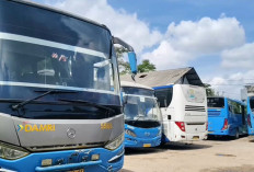 Libur Nataru, Damri Palembang Siapkan 40 Armada