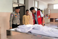 Hendak Menyeberang Jalan, Lansia Tanpa Identitas Tertabrak Pickup hingga Tewas