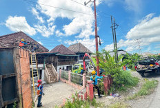 PLN ULP Kayu Agung Maksimalkan Pemulihan Listrik Demi Kenyamanan Warga Sungai Pinang 2