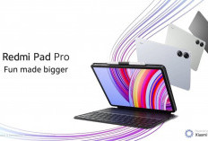 Gak Nyangka! Begini Rasanya Pakai Redmi Pad Pro Sebagai Pengganti Laptop!