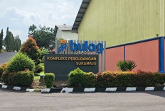 Pasokan Beras di Sumsel dan Babel Aman Beberapa Bulan ke Depan